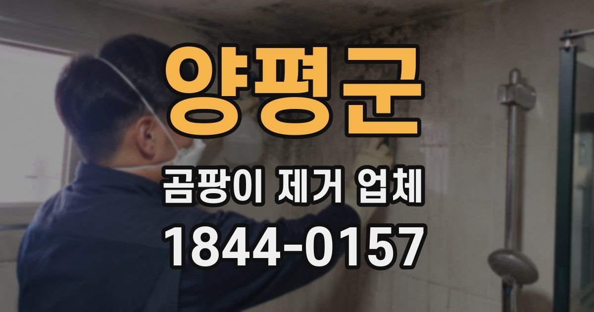 양평군 곰팡이 제거 업체