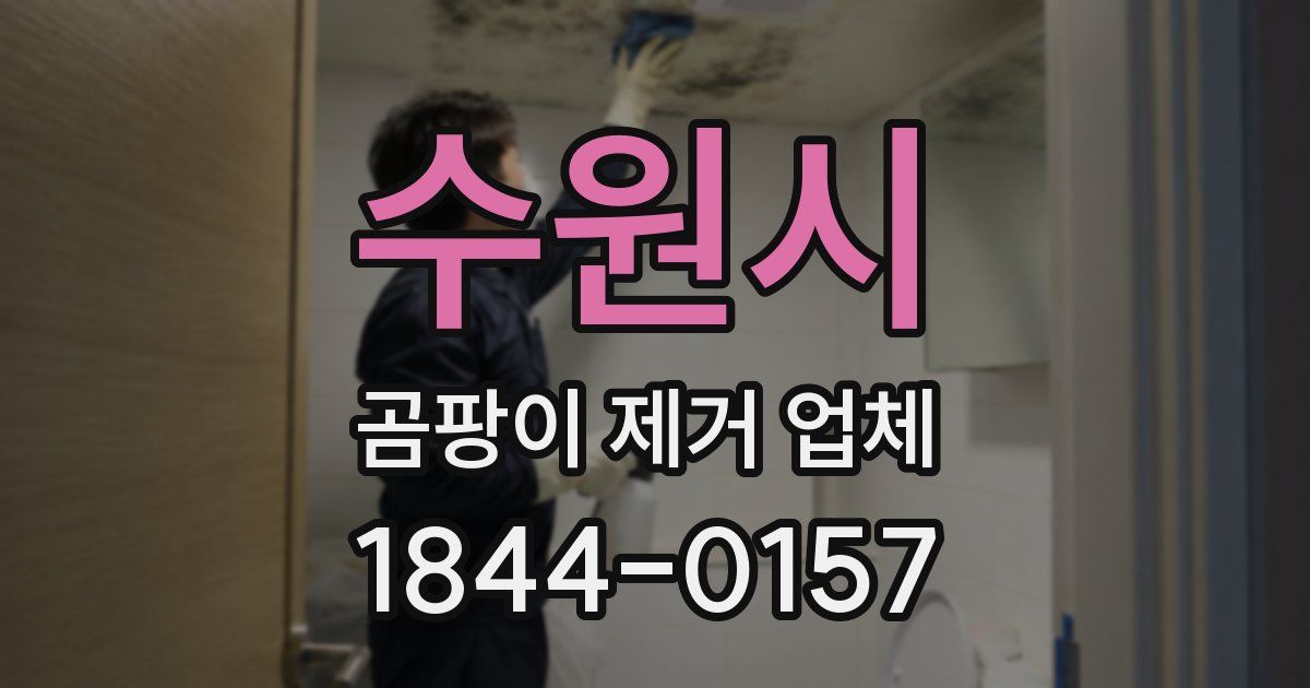 수원시 곰팡이 제거 업체