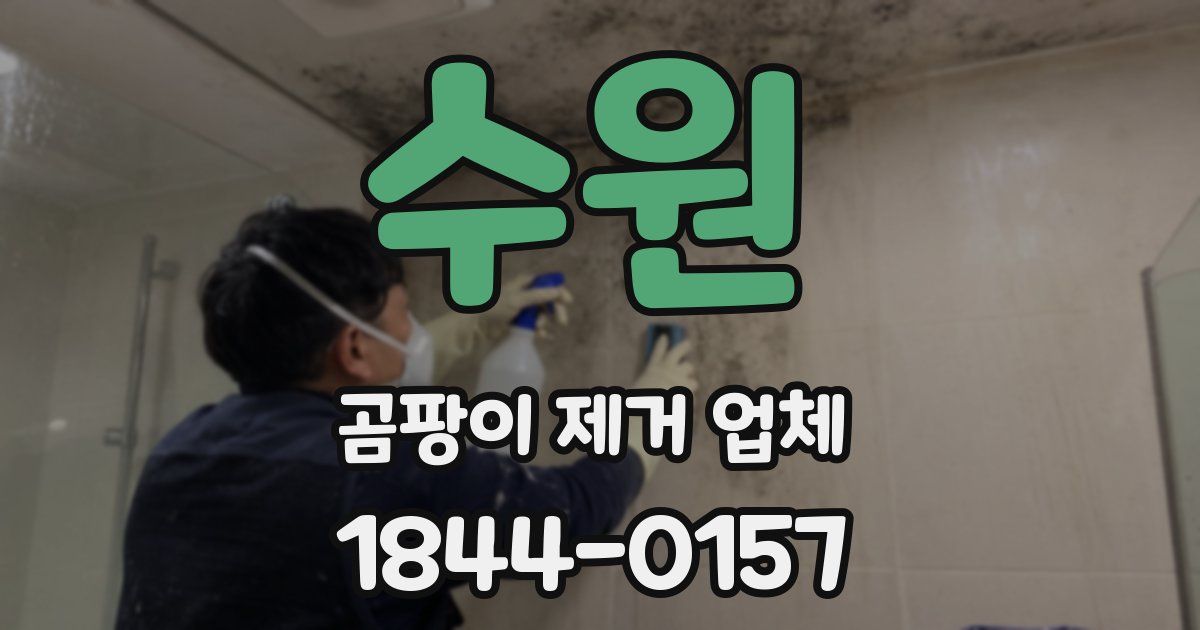 수원 곰팡이 제거 업체