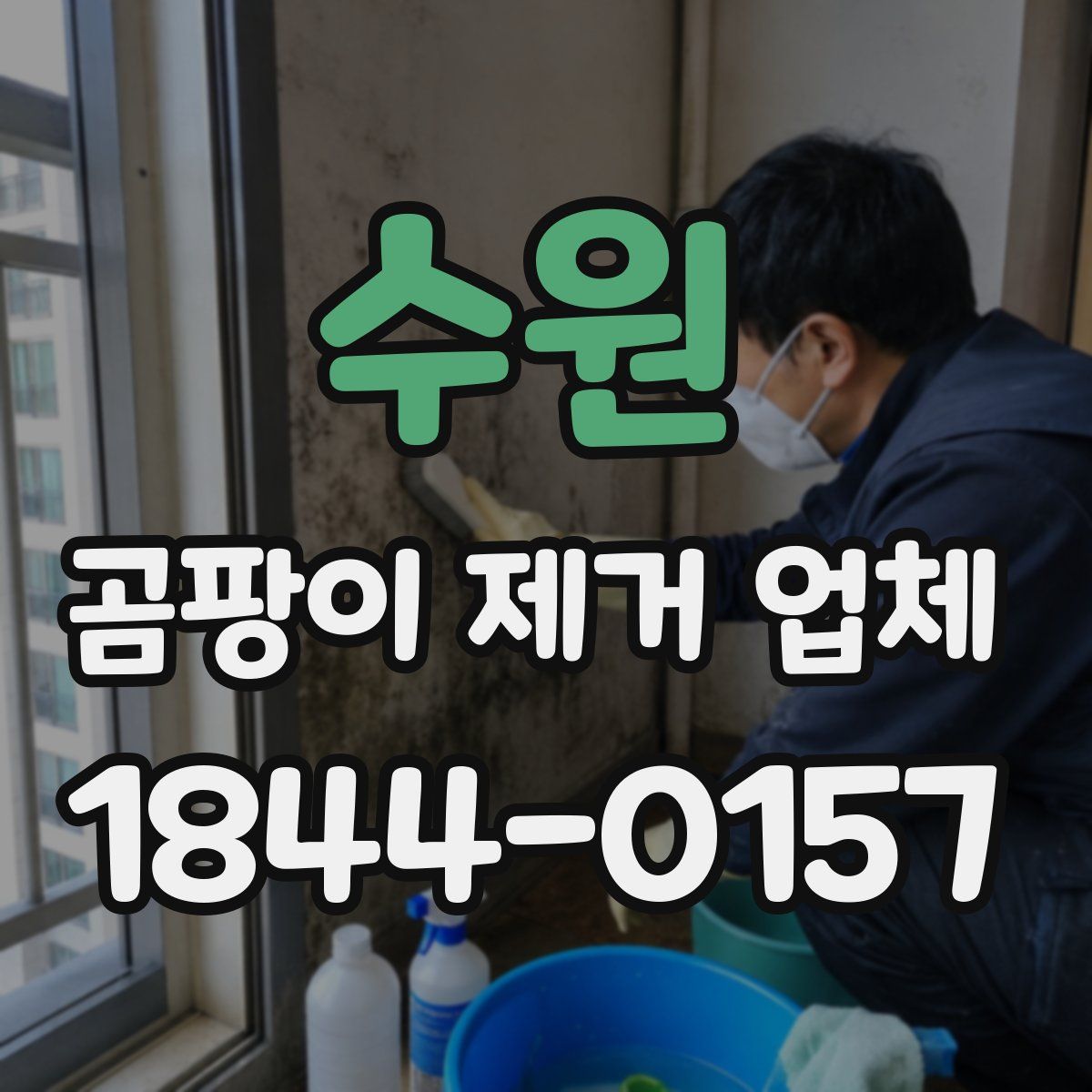 수원 곰팡이 제거 업체