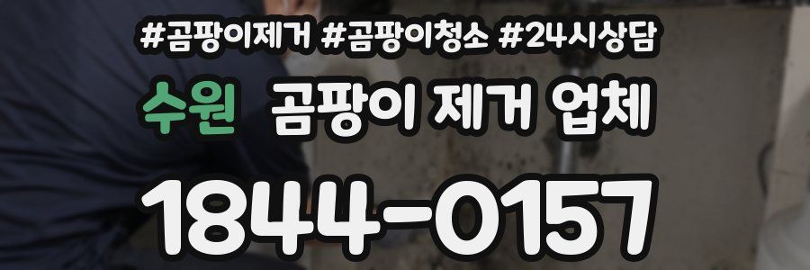 수원 곰팡이 제거 업체