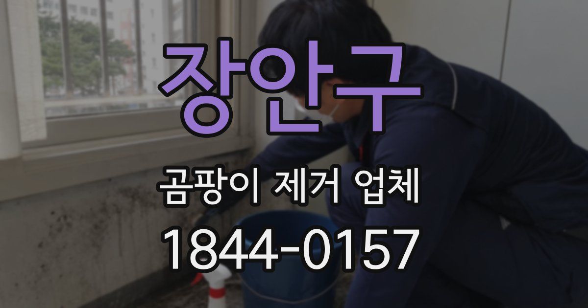 장안구 곰팡이 제거 업체