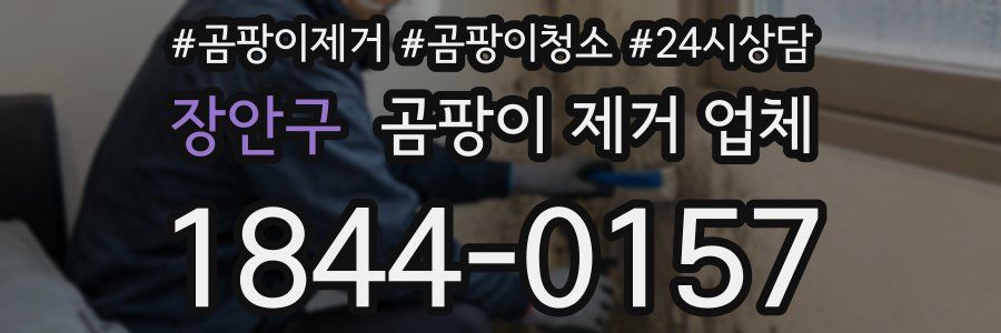장안구 곰팡이 제거 업체