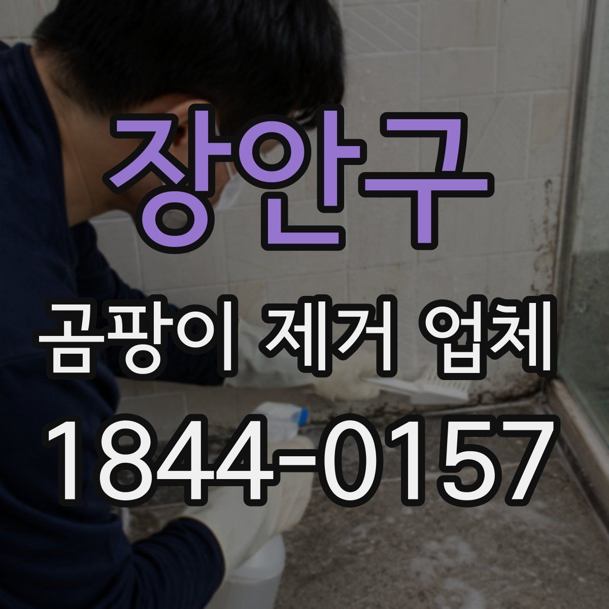장안구 곰팡이 제거 업체