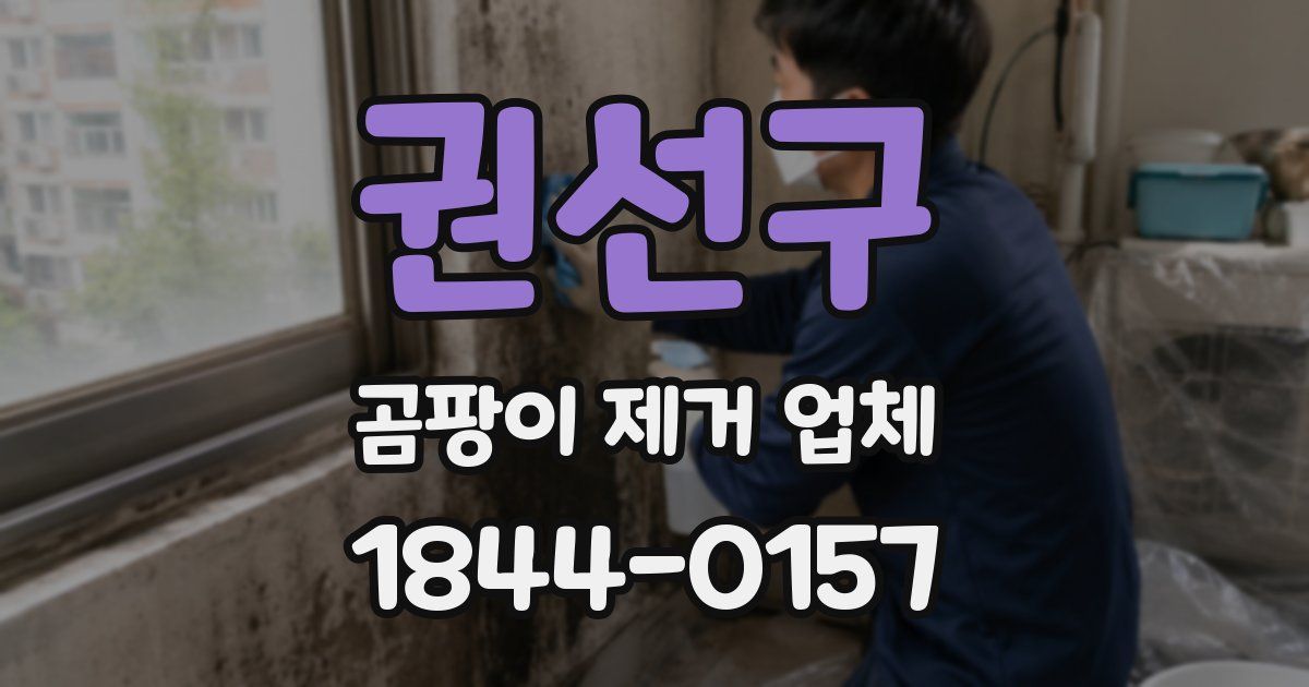 권선구 곰팡이 제거 업체