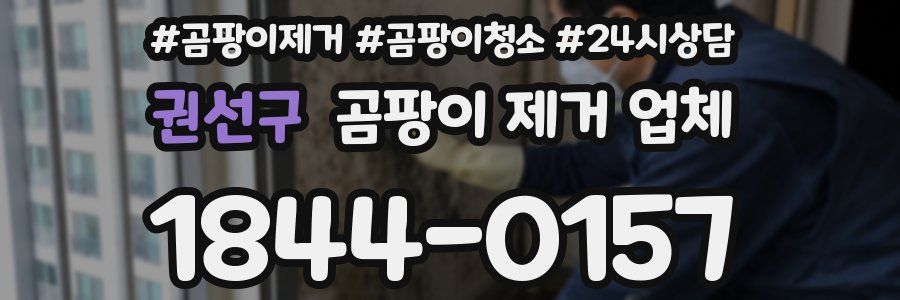 권선구 곰팡이 제거 업체