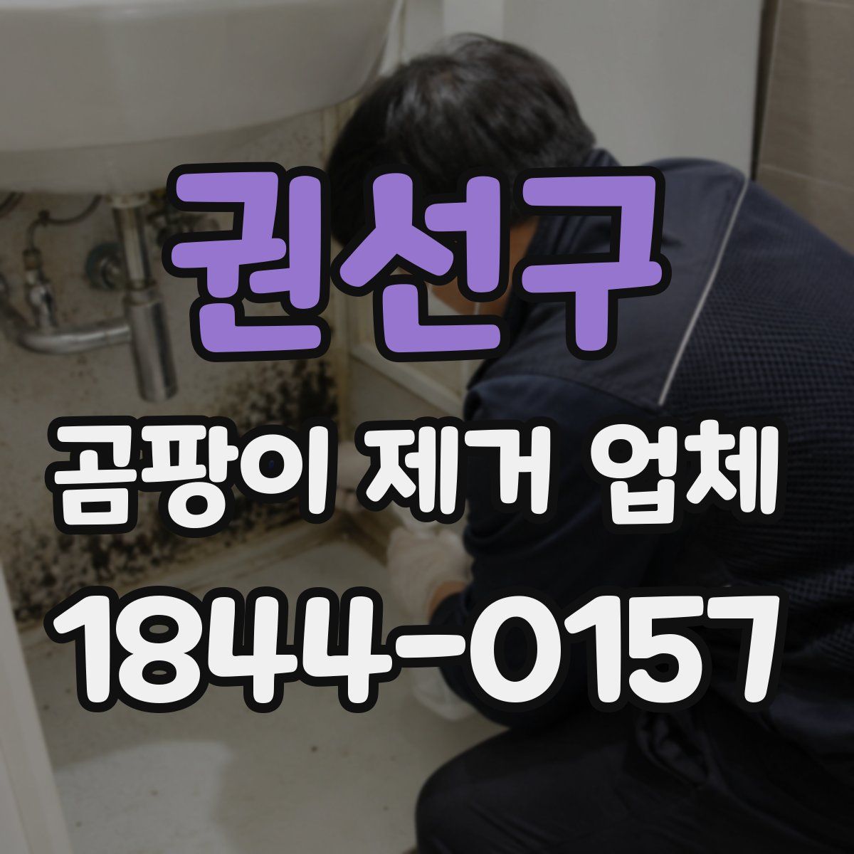 권선구 곰팡이 제거 업체