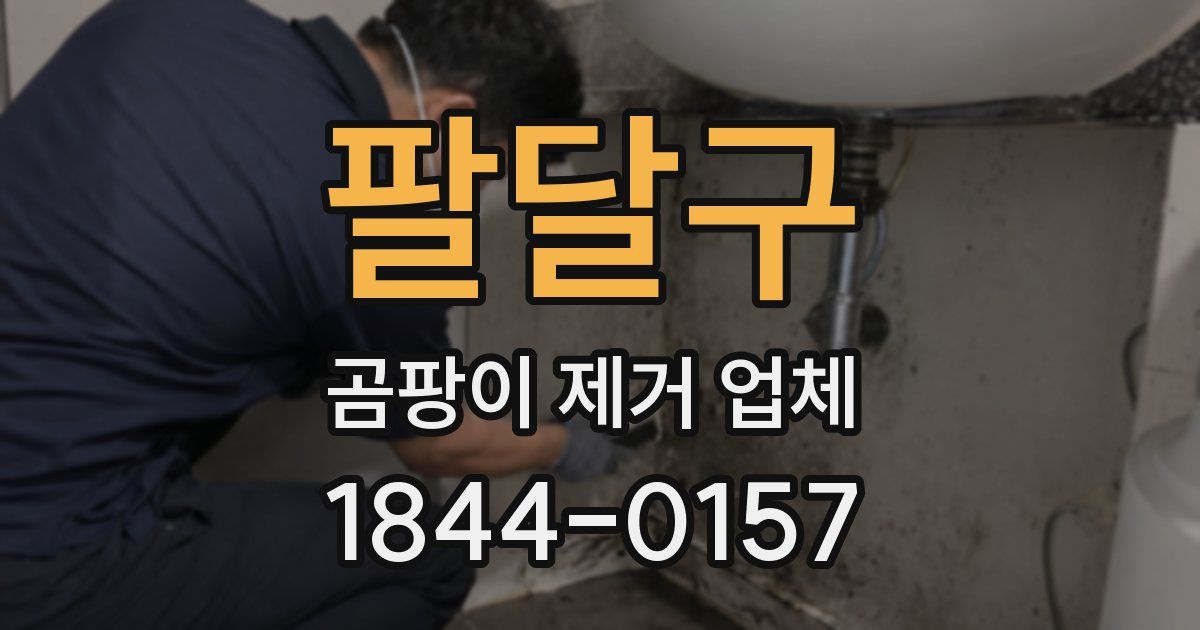 팔달구 곰팡이 제거 업체