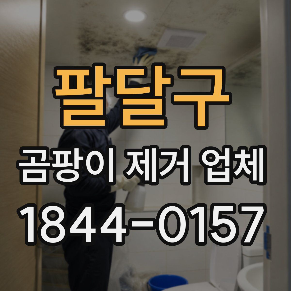 팔달구 곰팡이 제거 업체