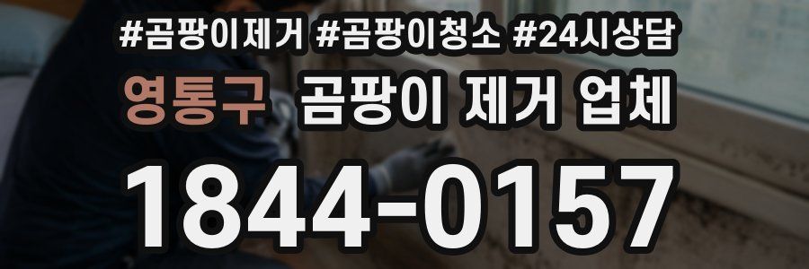 영통구 곰팡이 제거 업체