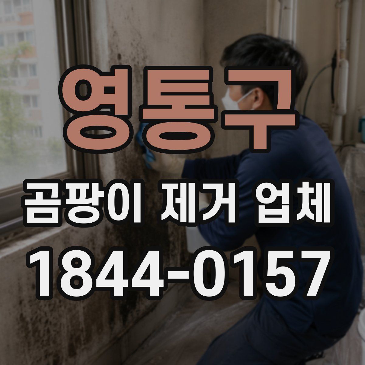 영통구 곰팡이 제거 업체
