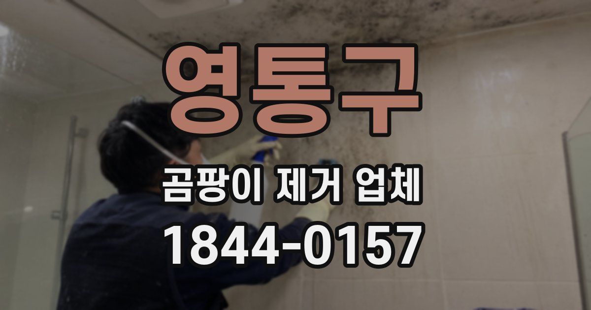 영통구 곰팡이 제거 업체