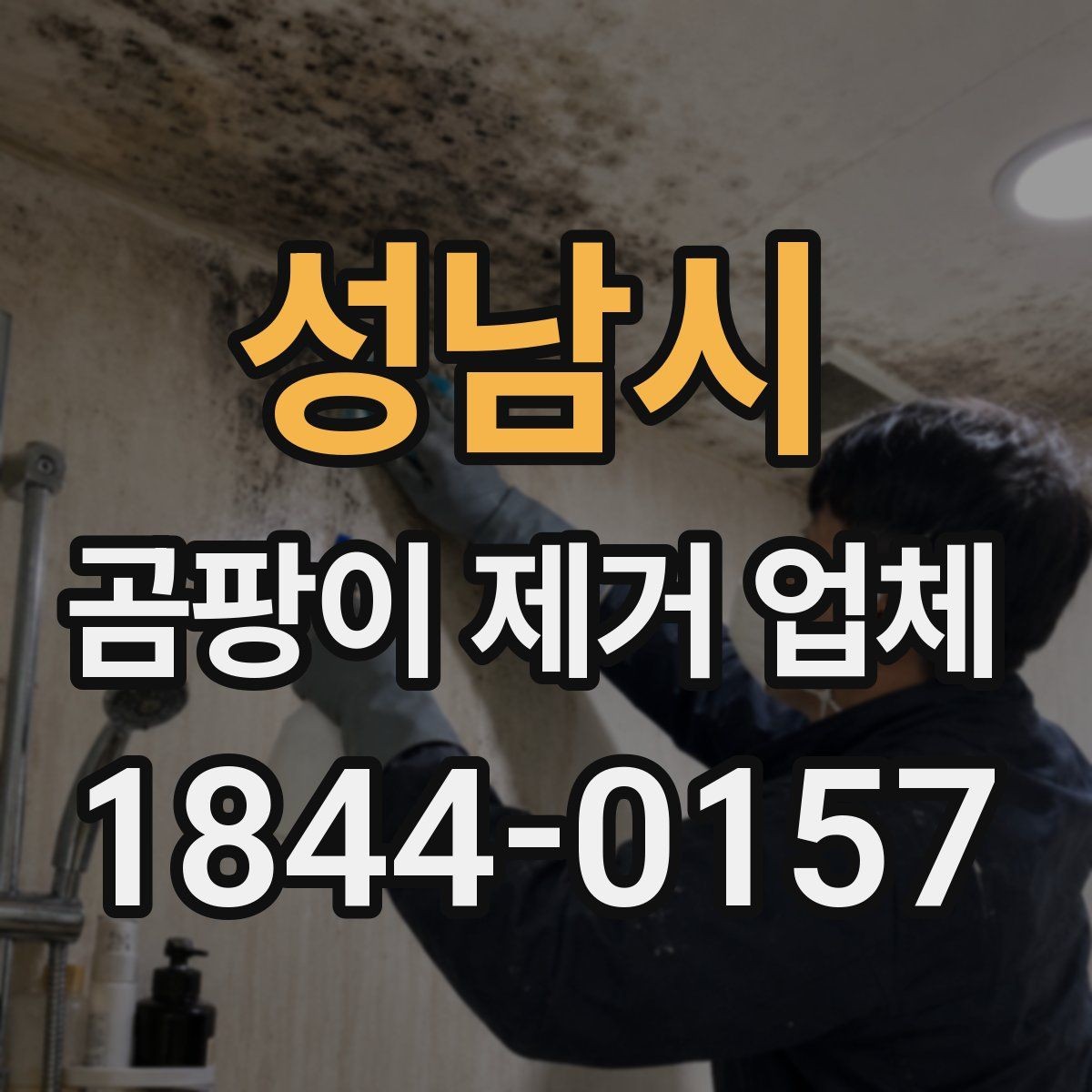성남시 곰팡이 제거 업체 물자국과 표면 오염을 구별하는 포인트