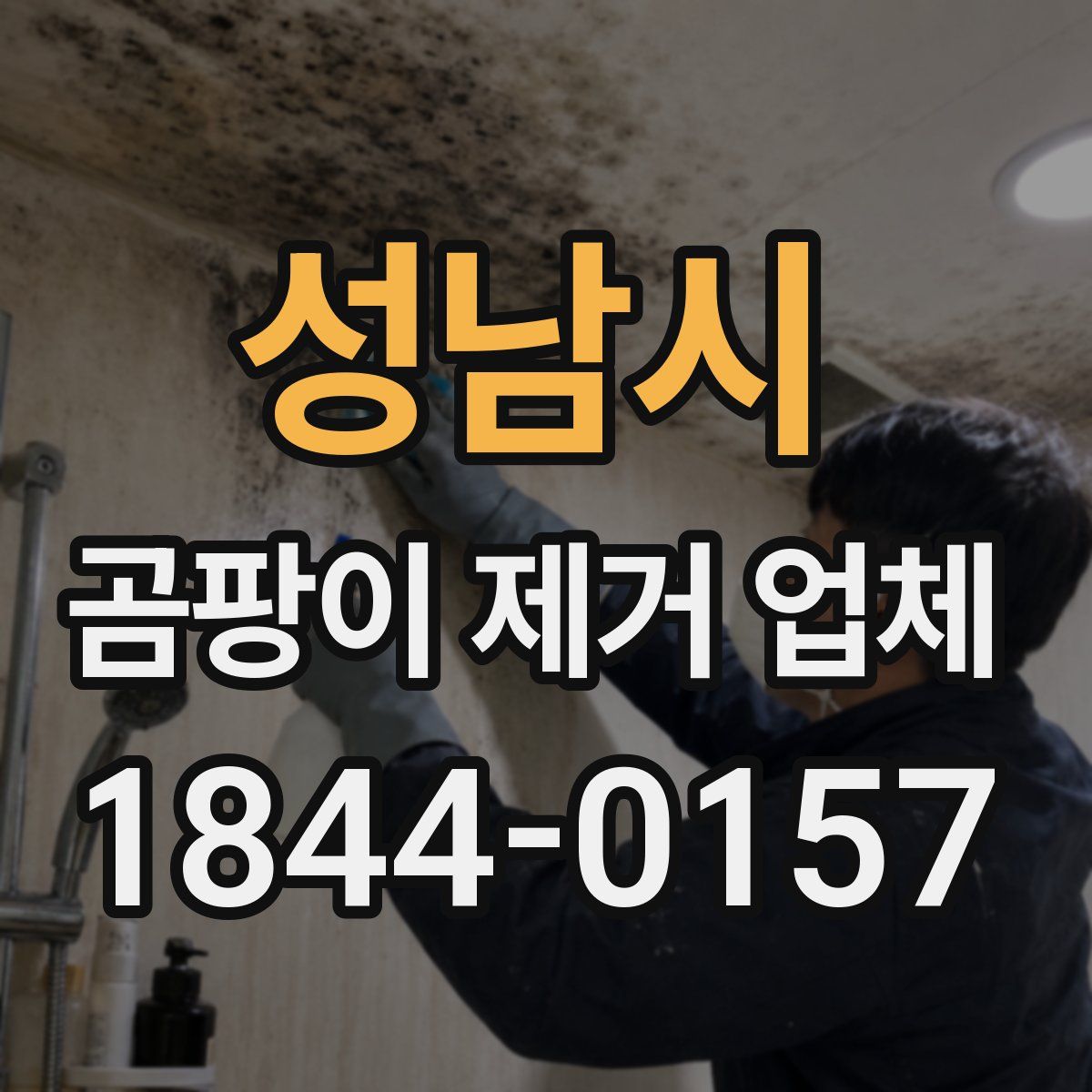 성남시 곰팡이 제거 업체
