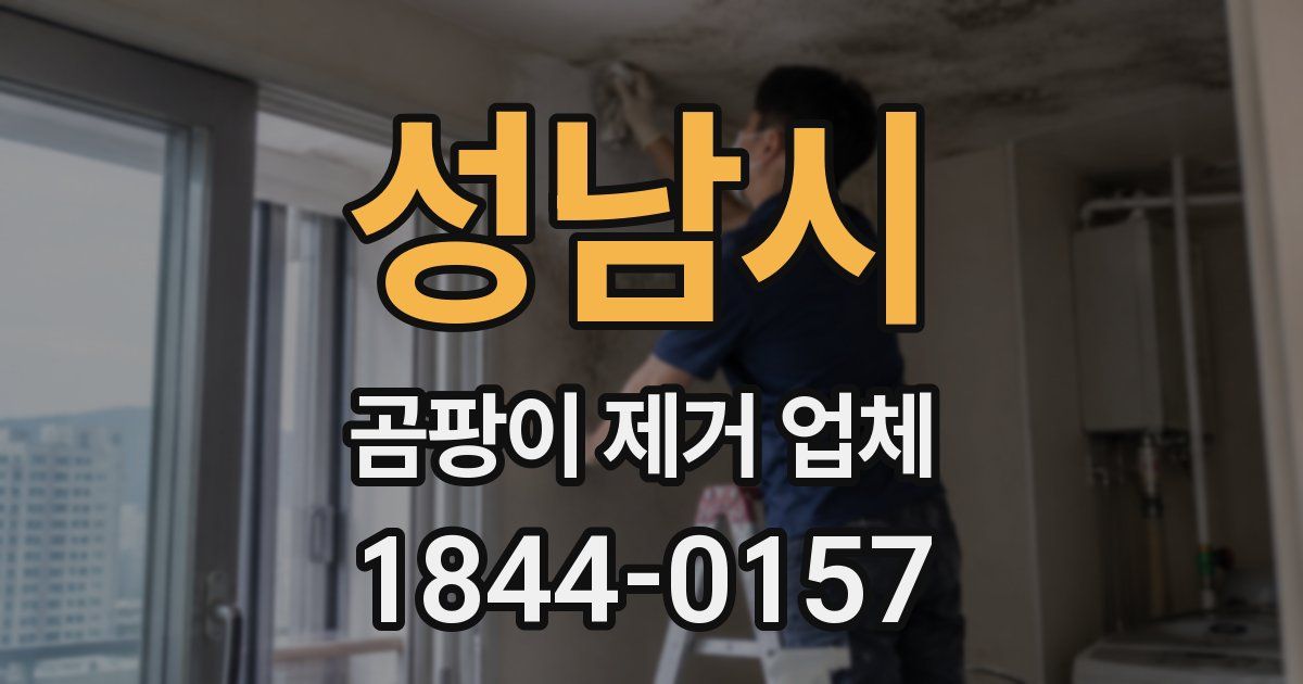 성남시 곰팡이 제거 업체