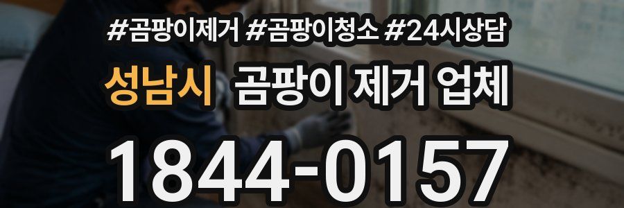 성남시 곰팡이 제거 업체