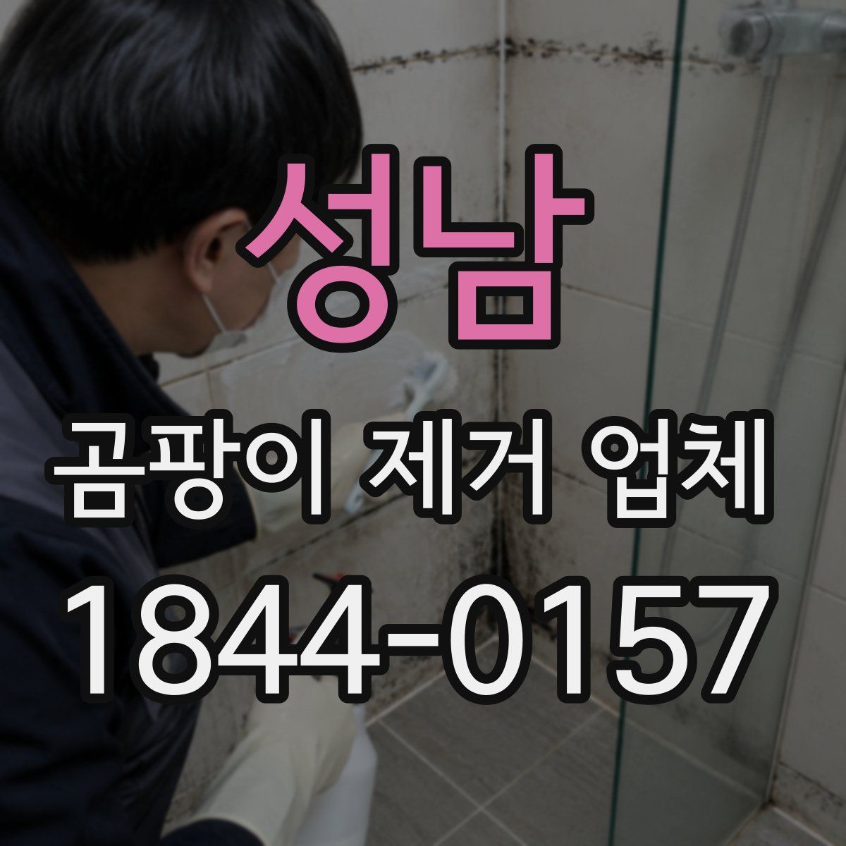 성남 곰팡이 제거 업체