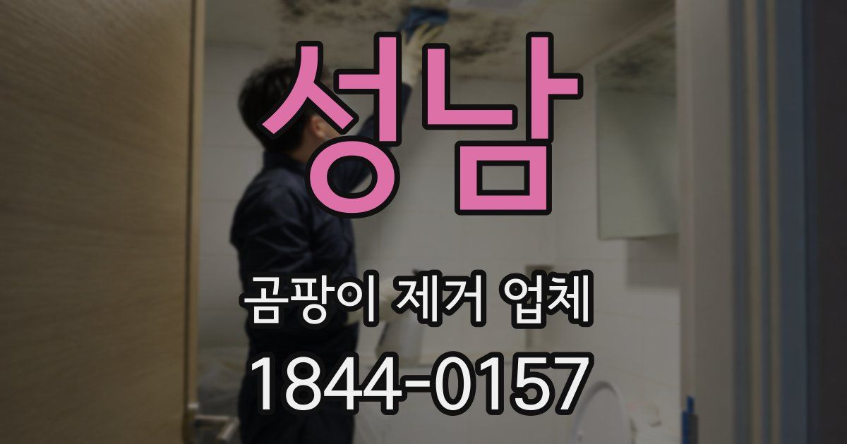 성남 곰팡이 제거 업체