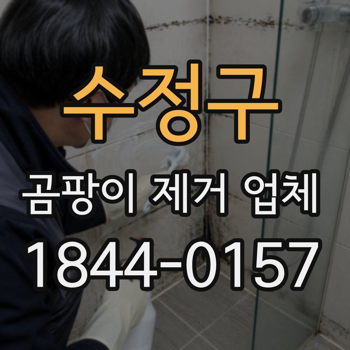 수정구 곰팡이 제거 업체