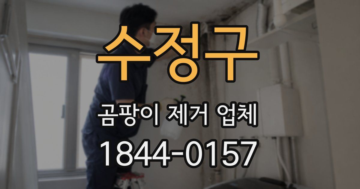 수정구 곰팡이 제거 업체