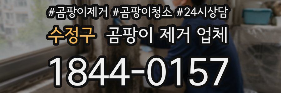 수정구 곰팡이 제거 업체