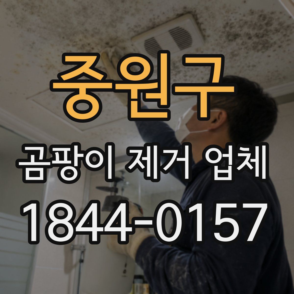 중원구 곰팡이 제거 업체