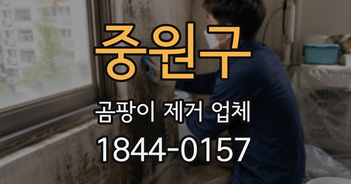 중원구 곰팡이 제거 업체