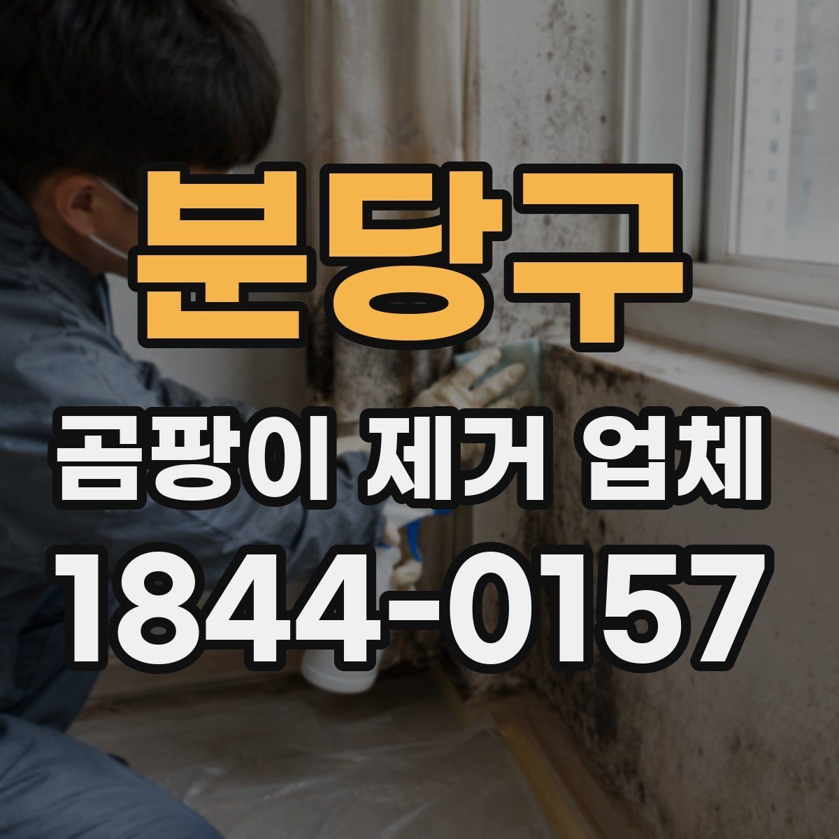 분당구 곰팡이 제거 업체 재발 방지를 위해 시공 뒤 확인할 것