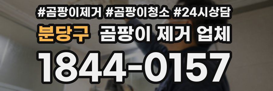 분당구 곰팡이 제거 업체