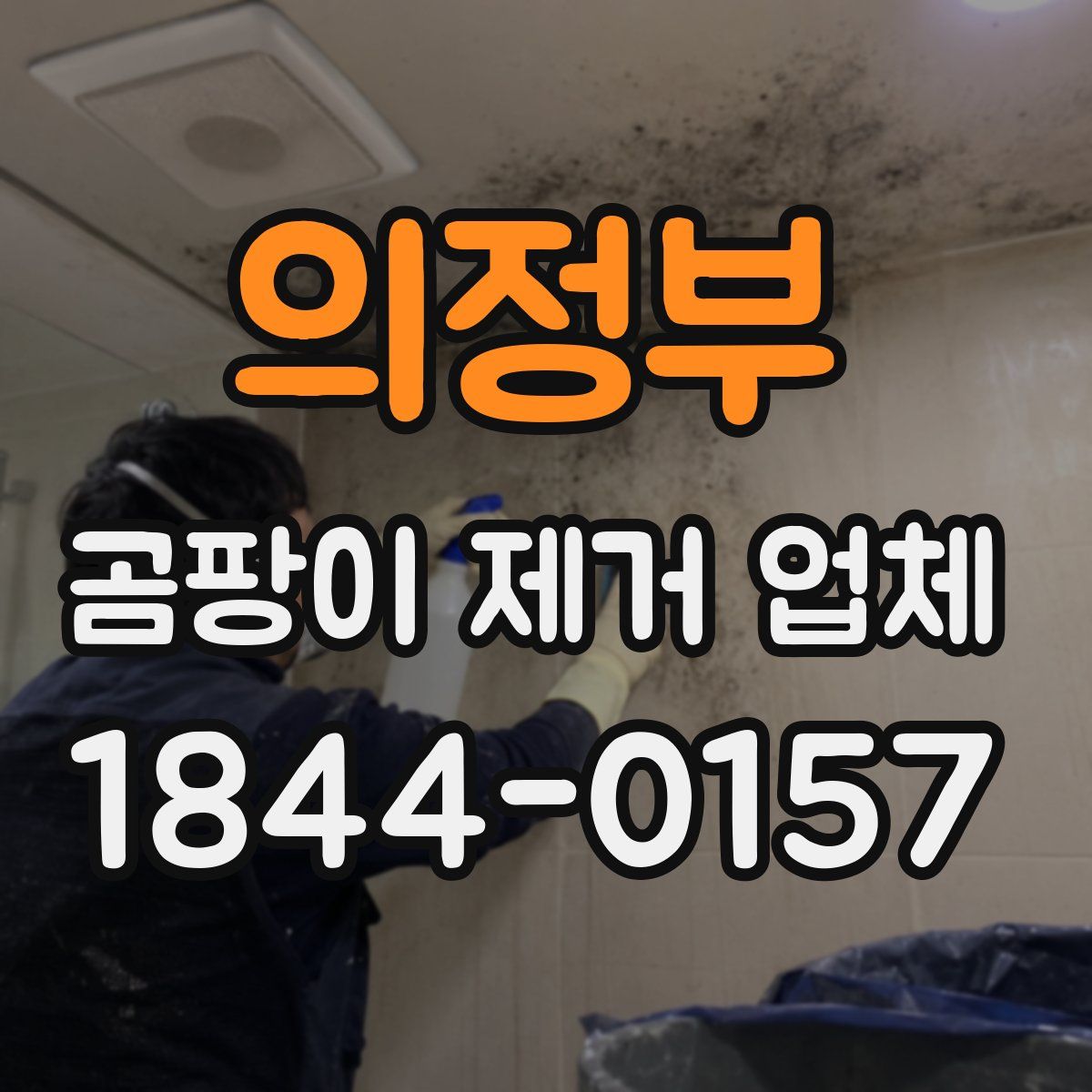 의정부 곰팡이 제거 업체