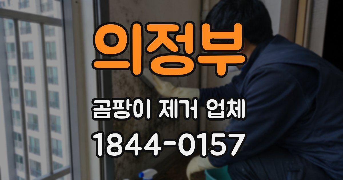 의정부 곰팡이 제거 업체