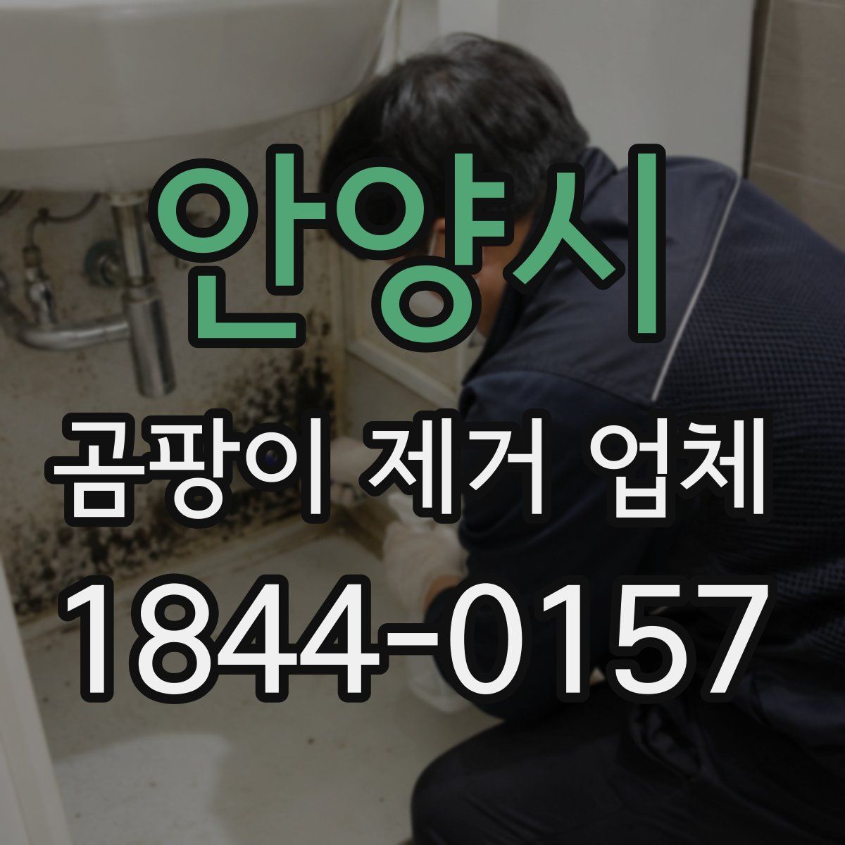 안양시 곰팡이 제거 업체