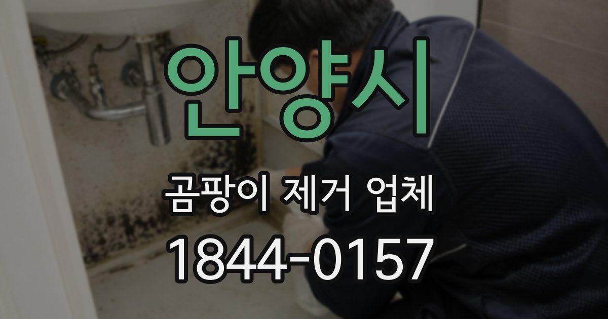 안양시 곰팡이 제거 업체