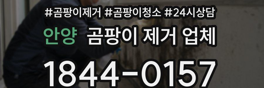 안양 곰팡이 제거 업체
