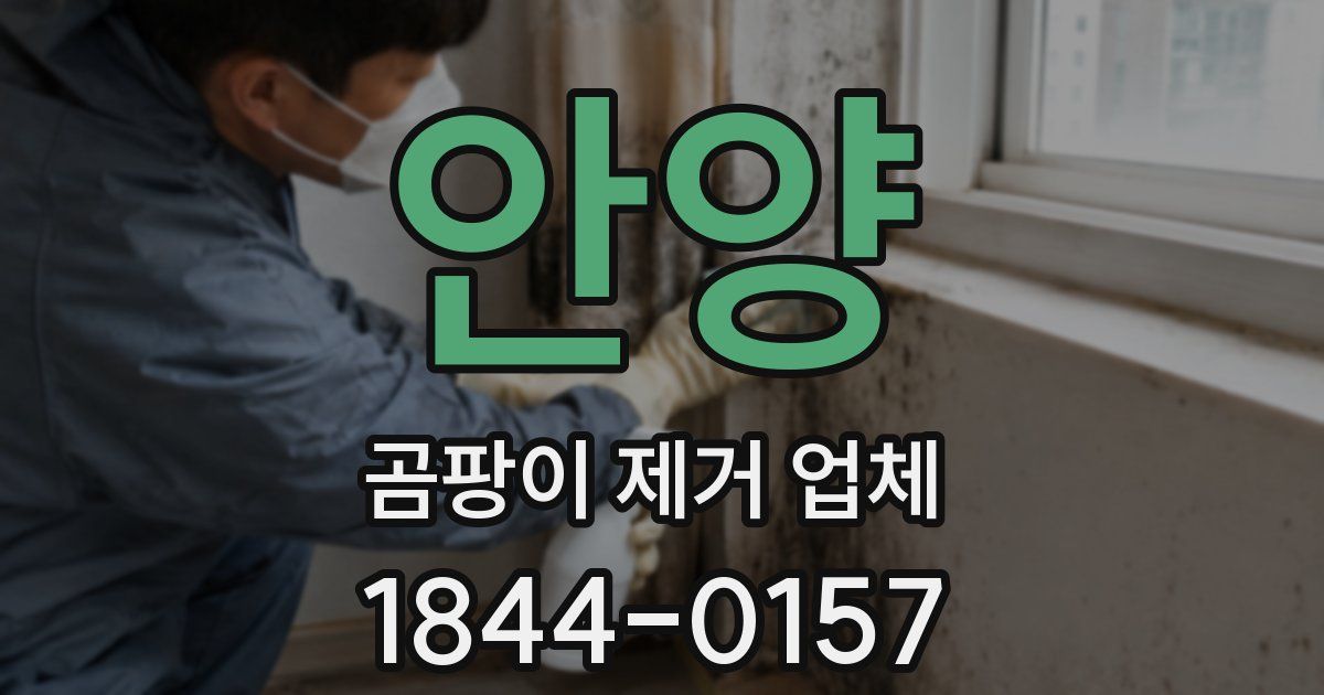 안양 곰팡이 제거 업체