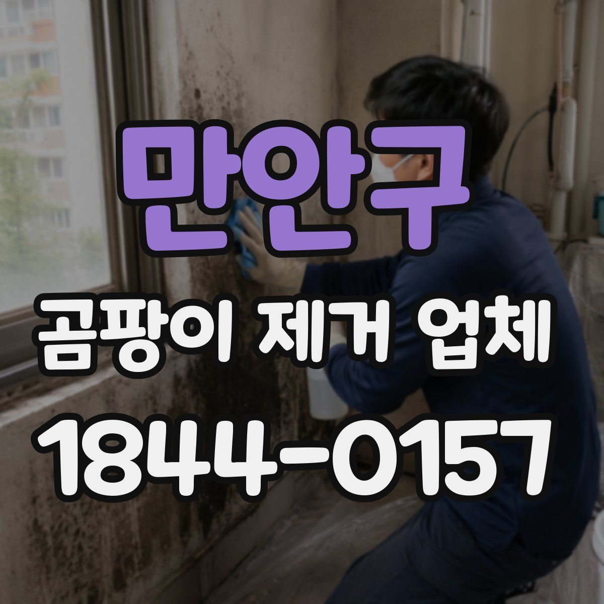 만안구 곰팡이 제거 업체