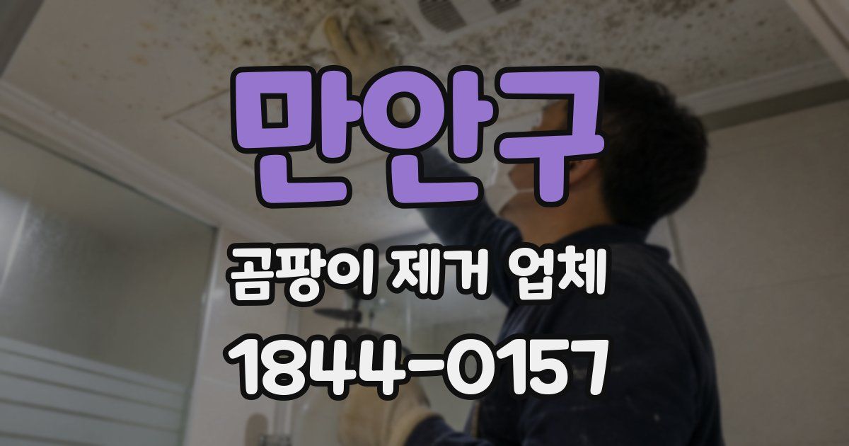 만안구 곰팡이 제거 업체