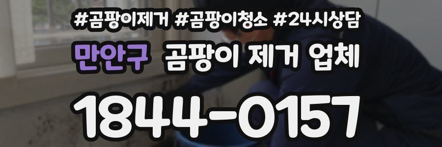 만안구 곰팡이 제거 업체