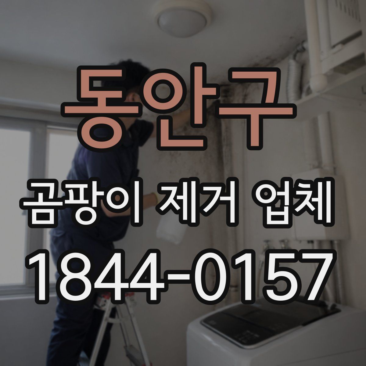 동안구 곰팡이 제거 업체