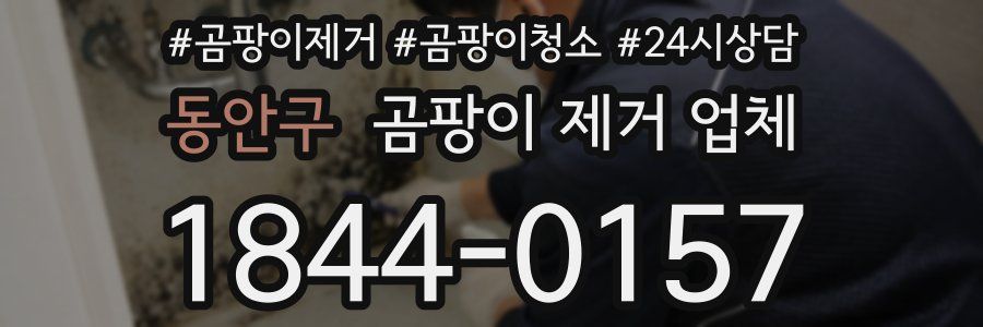 동안구 곰팡이 제거 업체