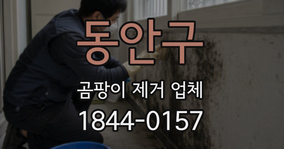 동안구 곰팡이 제거 업체