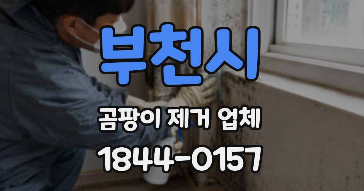 부천시 곰팡이 제거 업체