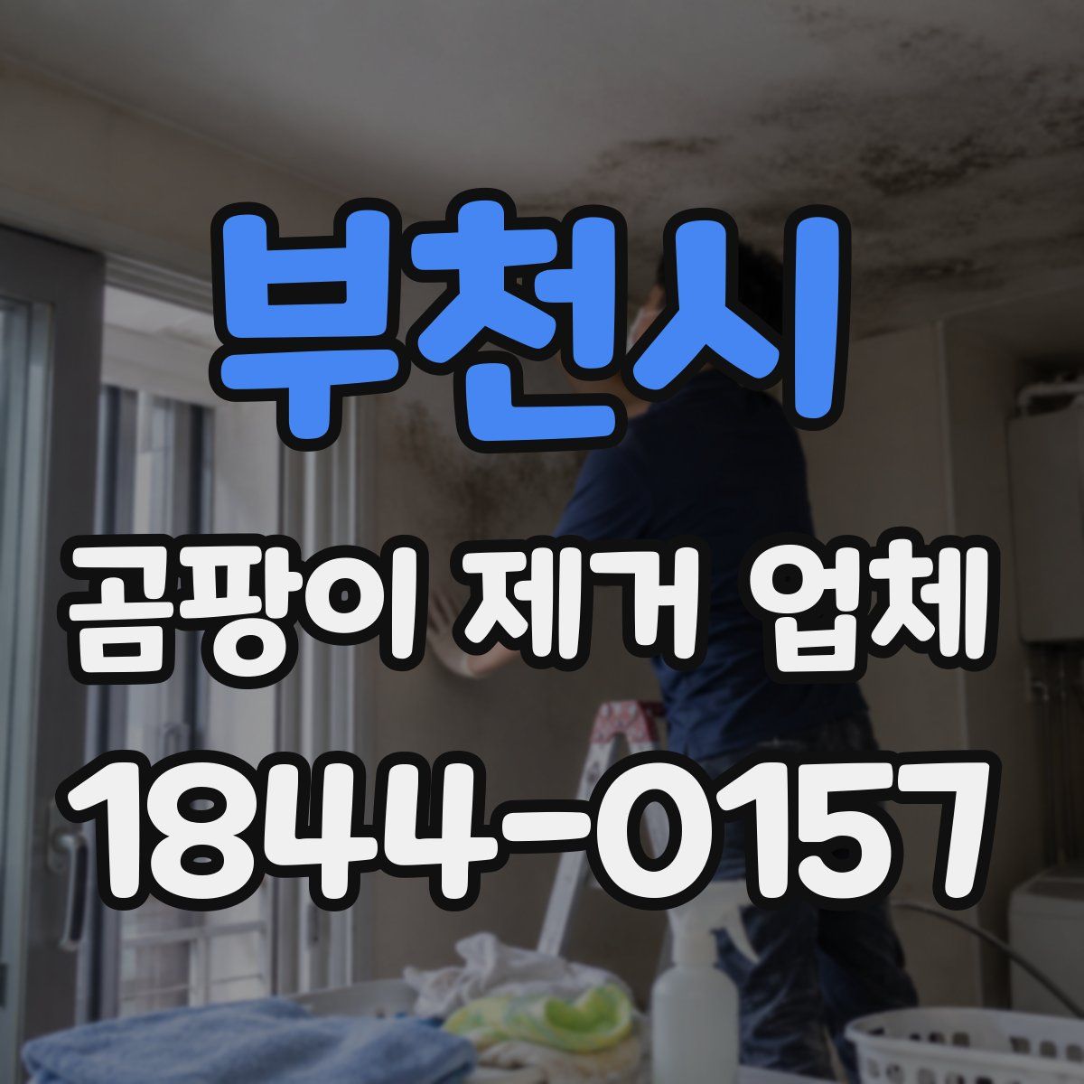 부천시 곰팡이 제거 업체