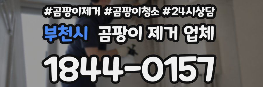 부천시 곰팡이 제거 업체