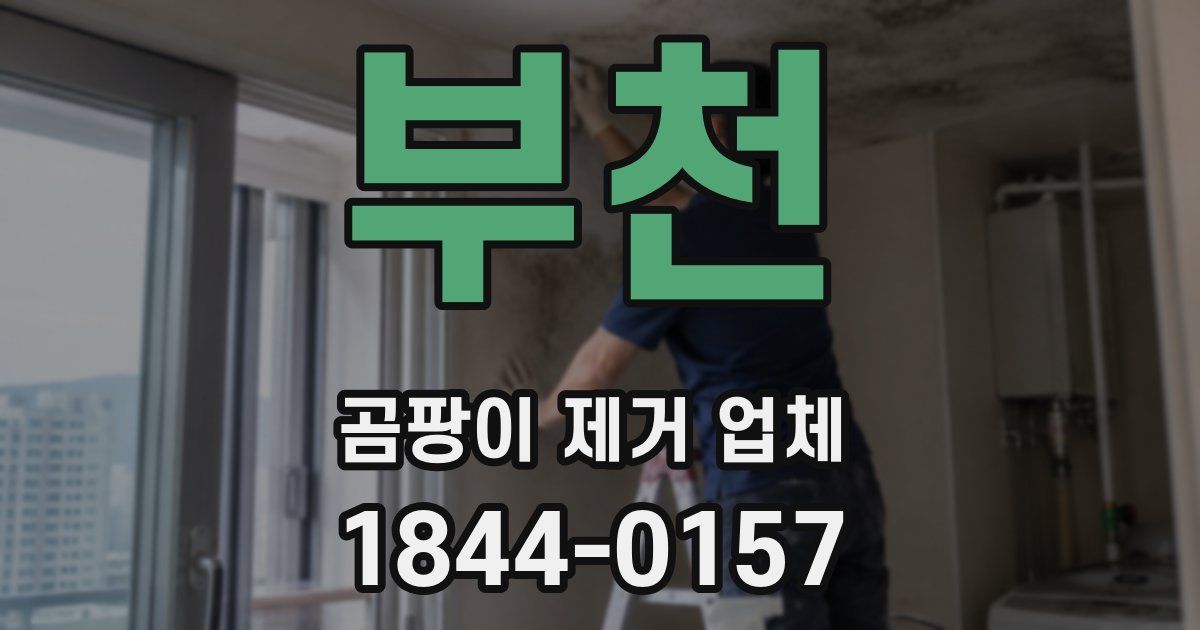 부천 곰팡이 제거 업체