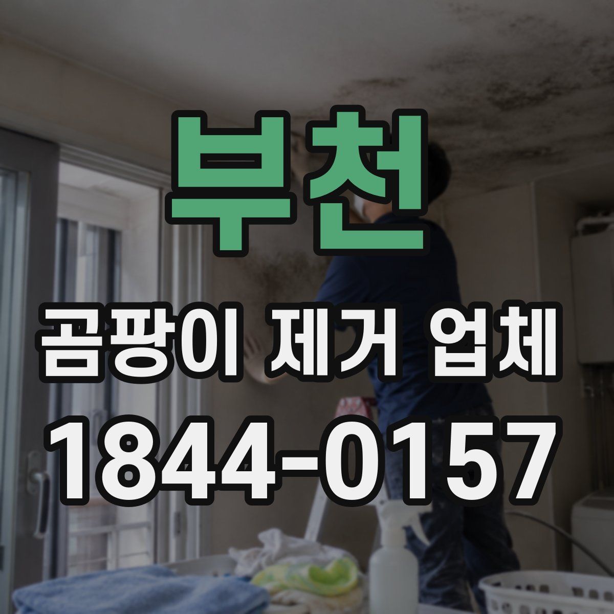 부천 곰팡이 제거 업체