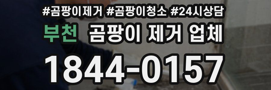 부천 곰팡이 제거 업체