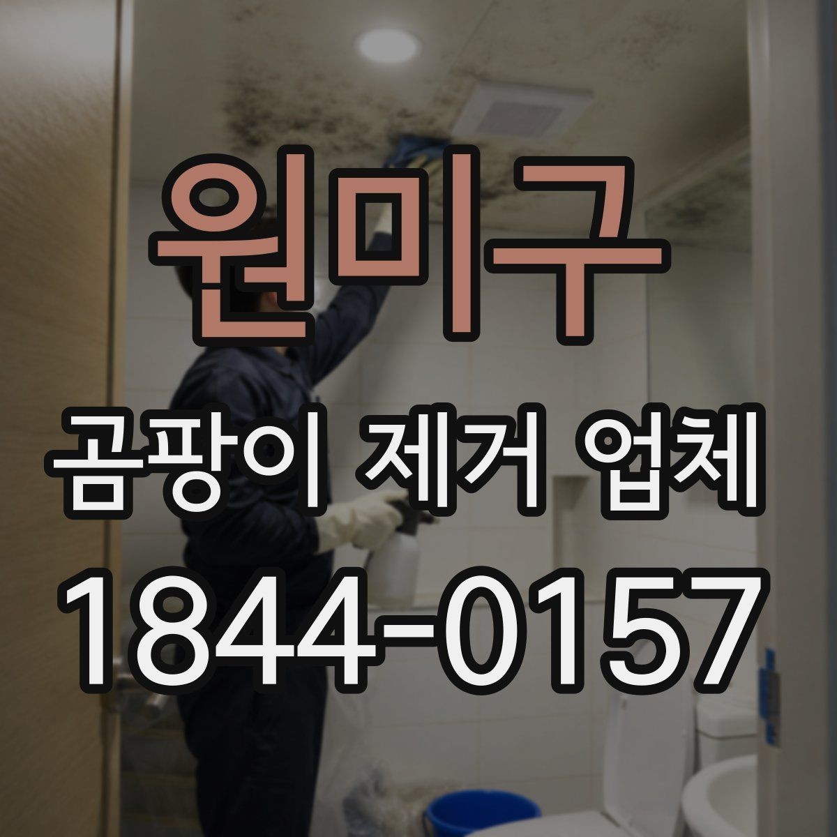 원미구 곰팡이 제거 업체 반지하·저층 주택 점검이 필요한 이유