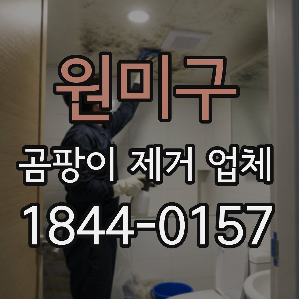 원미구 곰팡이 제거 업체
