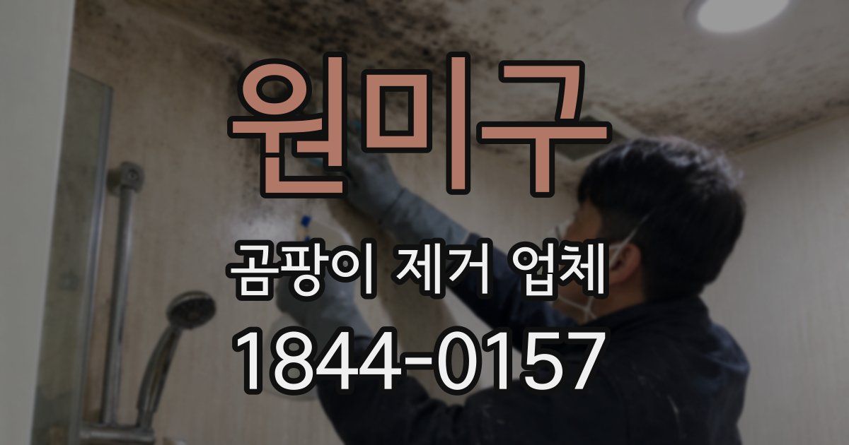 원미구 곰팡이 제거 업체